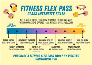 Flex Pass Scale